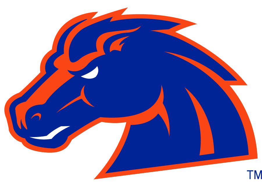 Boise State Broncos 2002-2012 Secondary Logo v5 DIY iron on transfer (heat transfer)